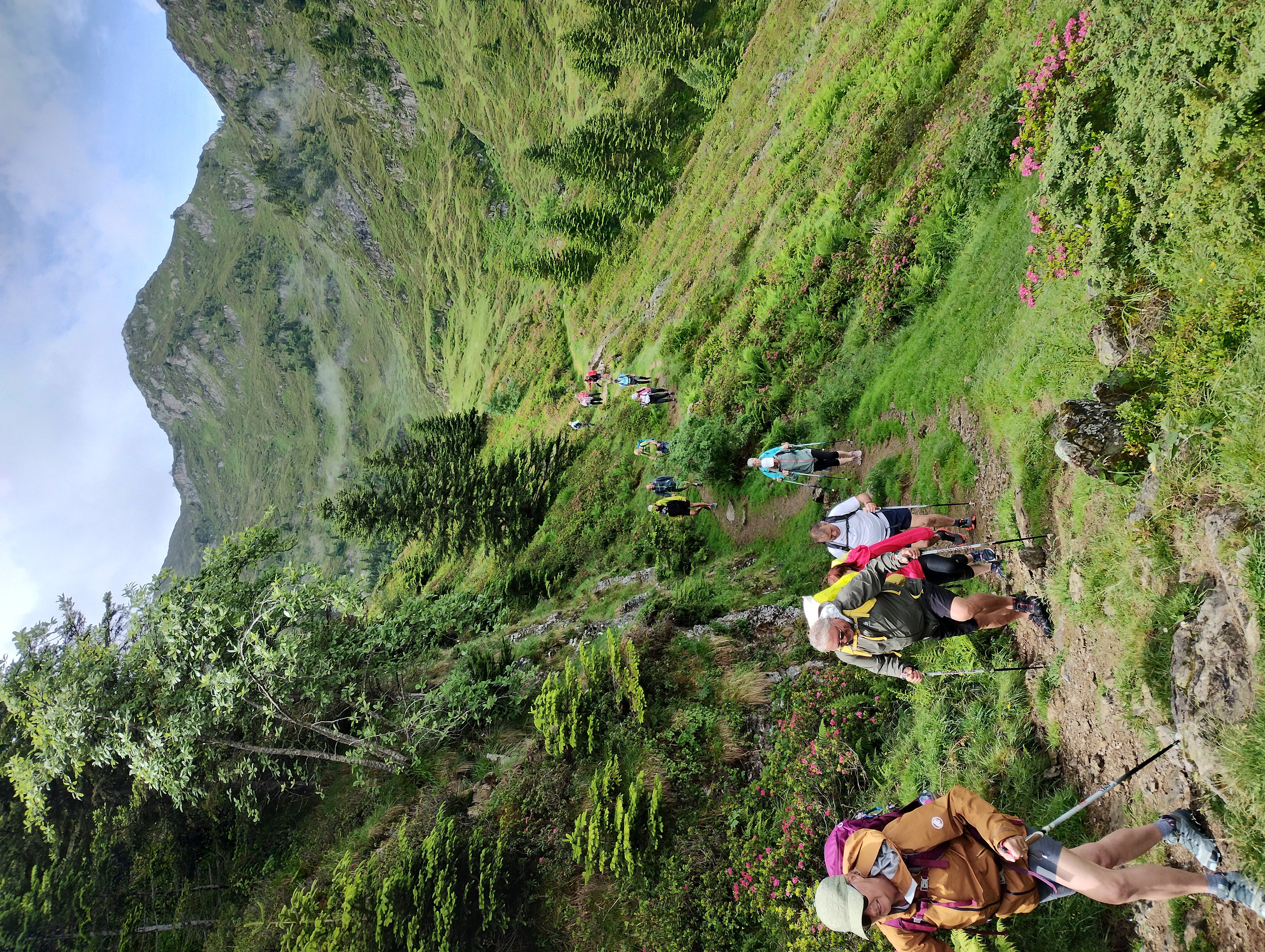 photo marche nordique.jpg