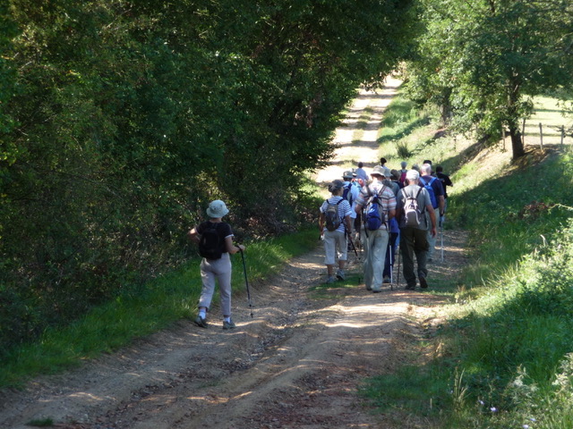 Sentier randonnée.jpeg