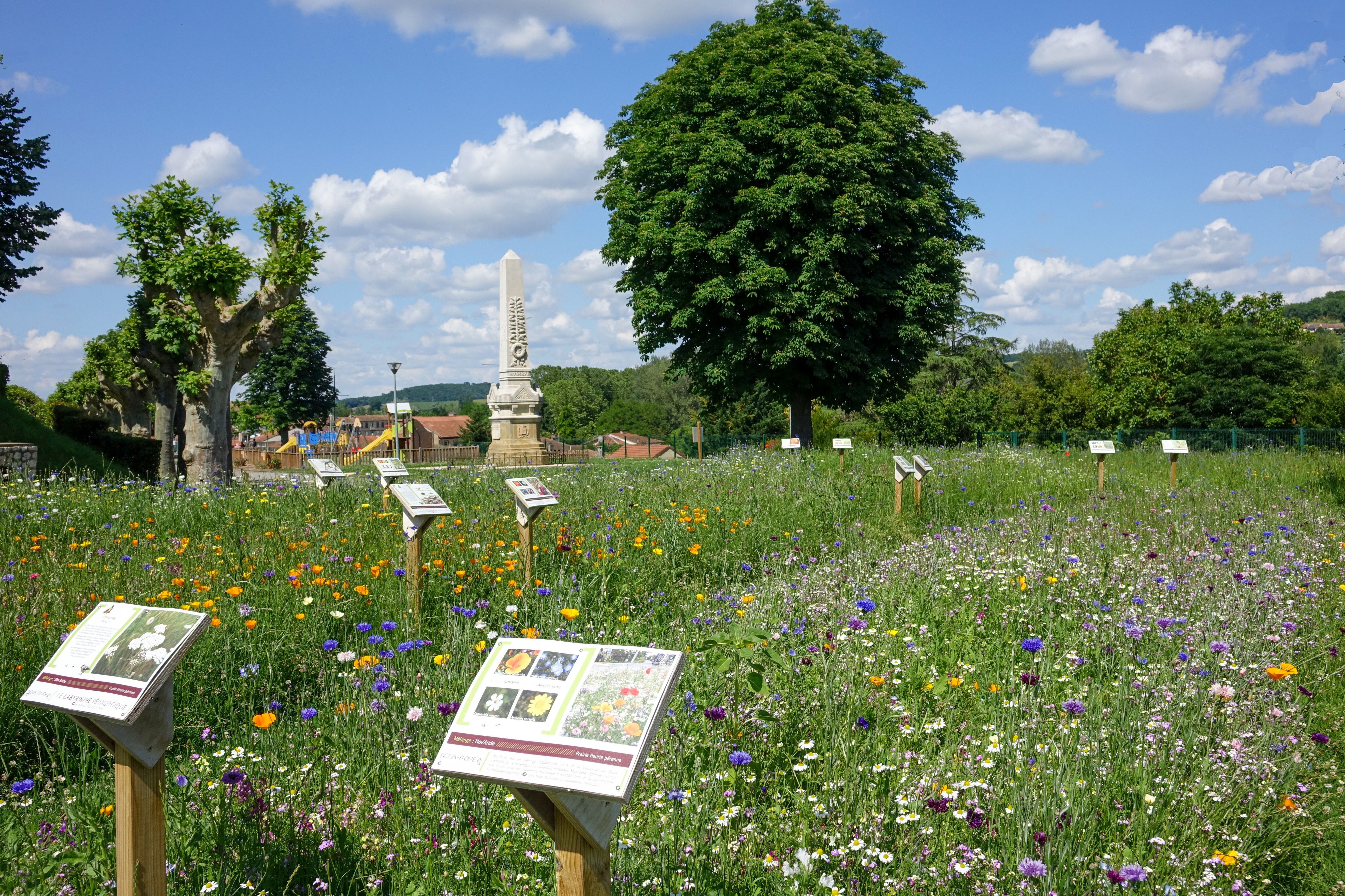 Labyrinthe fleurs ps.jpg