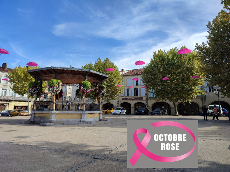 Photographie Octobre Rose.png