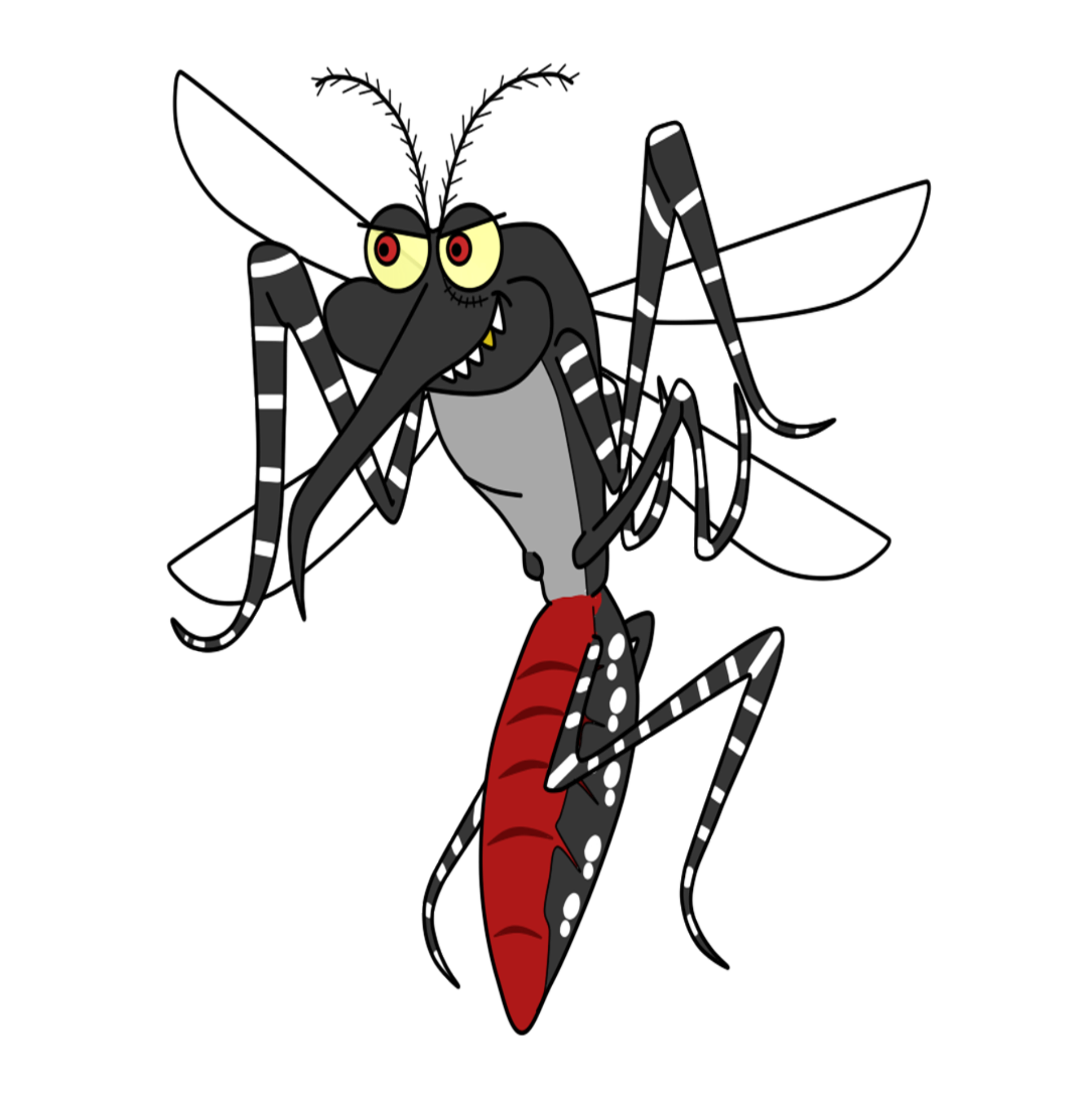 MOUSTIQUE TIGRE crédit Jomar Junior de Pixabay.png