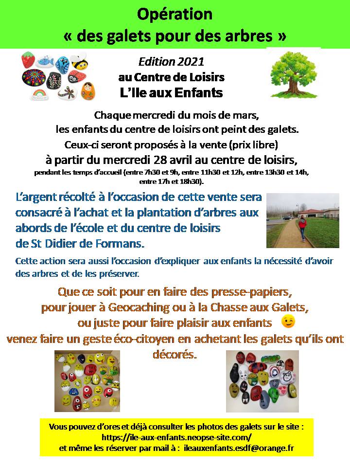 Présentation Galets peints.jpg