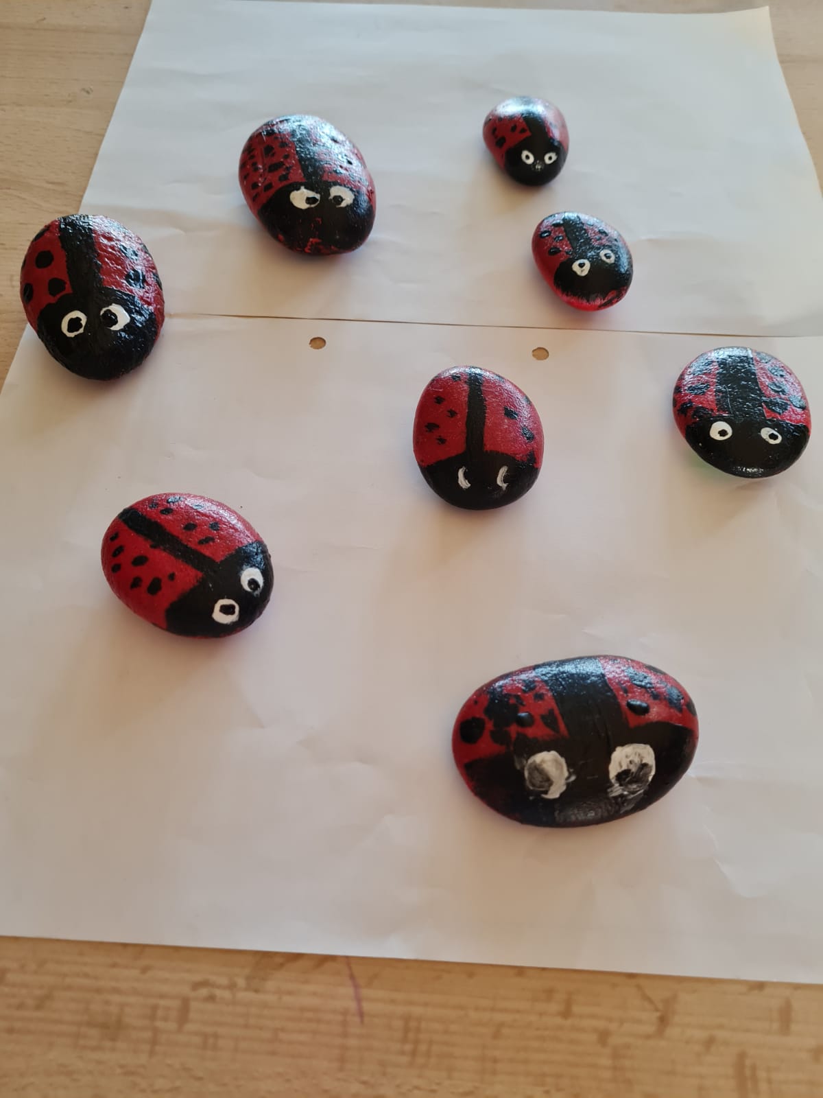 Galets peints-les coccinelles.jpg