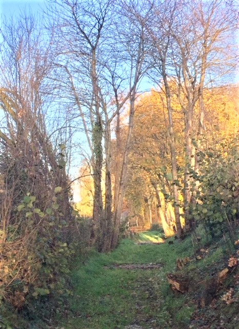 Chemin_Fresnoy.jpg
