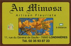 aumimosa.jpg aumimosa.jpg