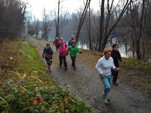 Actimarch photos 2.jpg