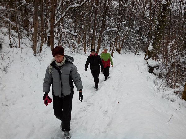 Actimarch photos 3.jpg