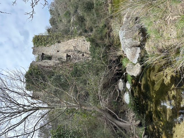 Moulin à eau Blt mars 2025 .jpg
