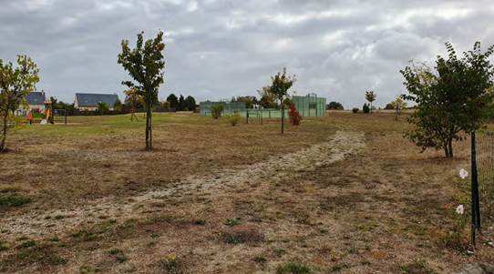 City Stade.jpg