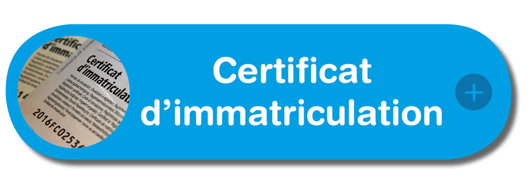 certificat immatriculation.jpg