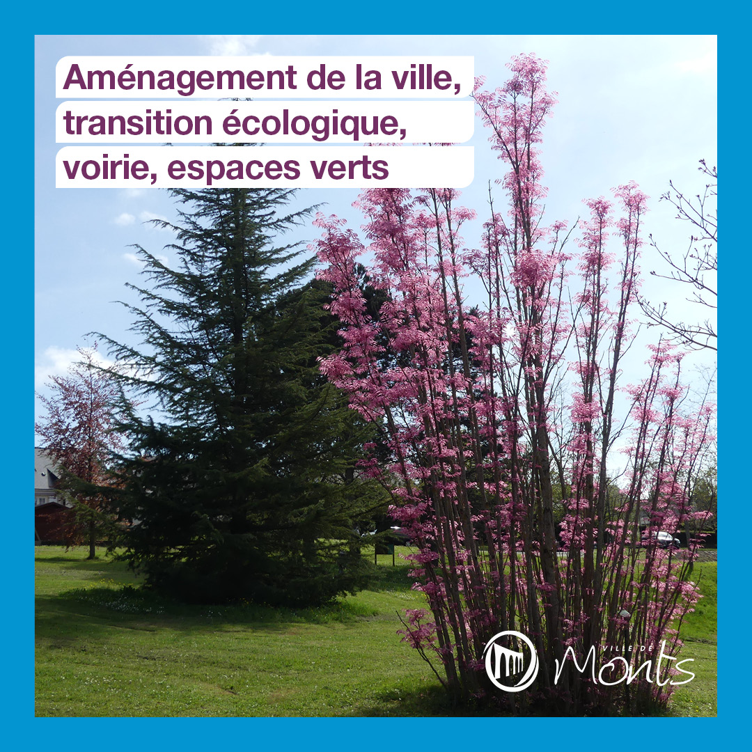 02_ComMun_Amenagmt_EspVert_FBCARRE_1080x1080.jpg