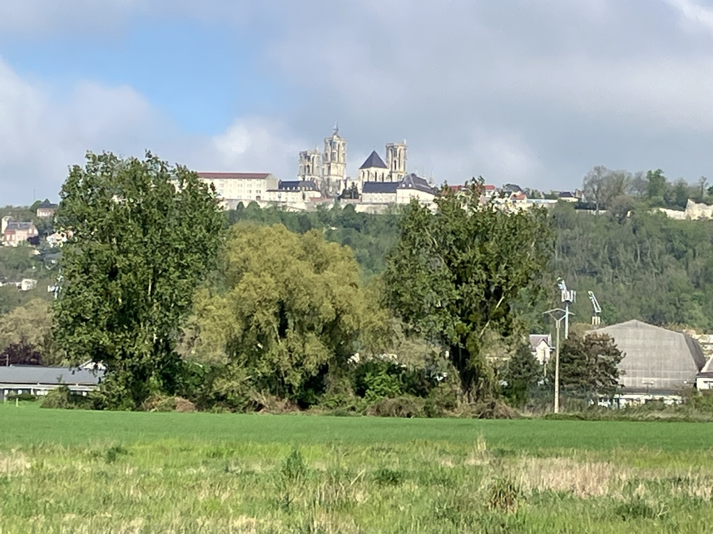 IMG_7731.jpg