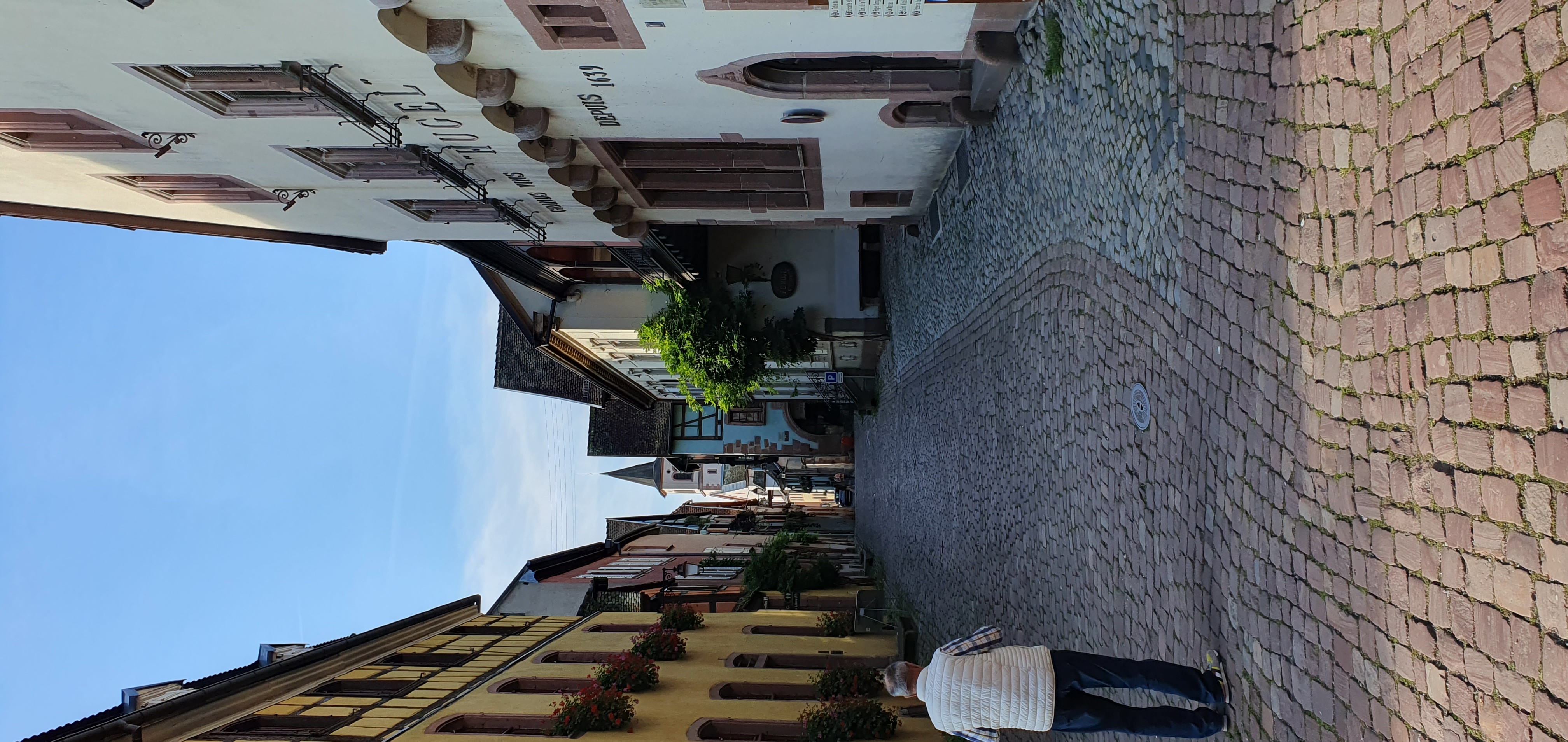 20250928_102742.jpg