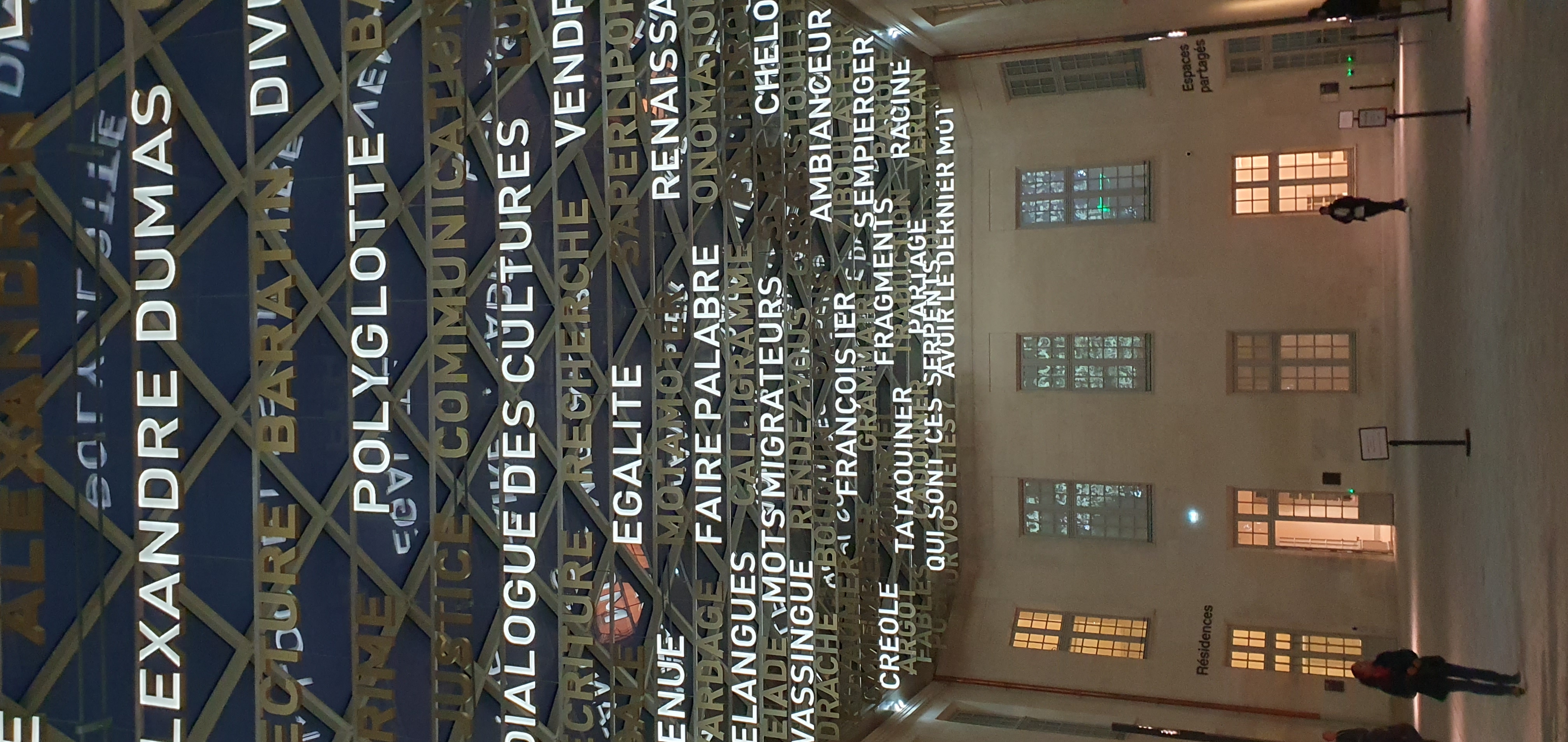 20241109_174643.jpg