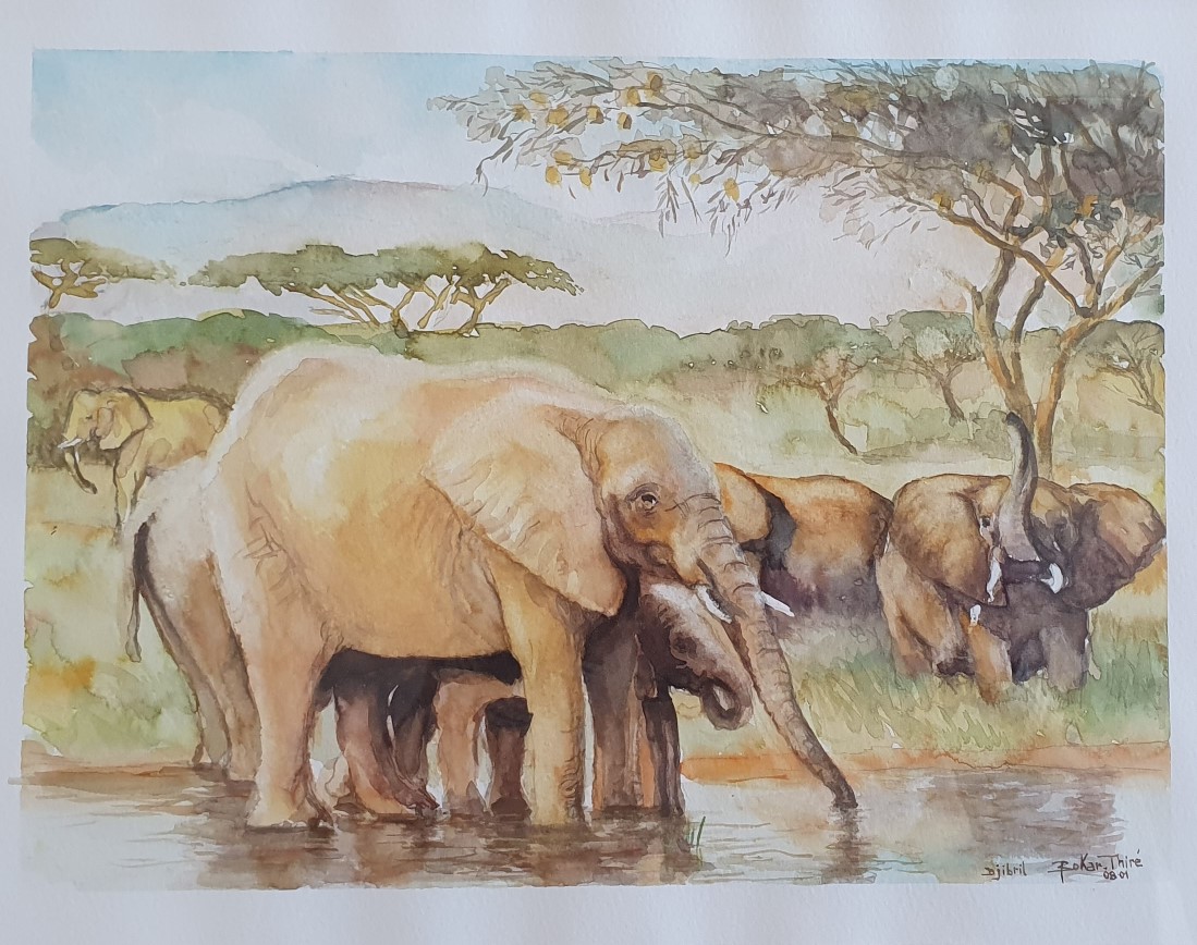 20260514_aquarelle-elephants-d-Afrique.jpg