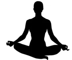 20260903-yoga-logo-v30.jpg