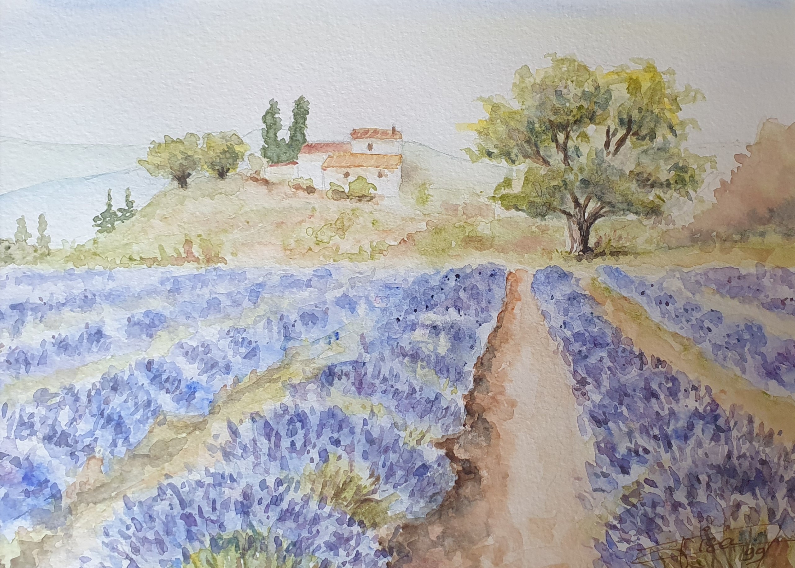 20260514_aquarelle-provence-et-lavande.jpg