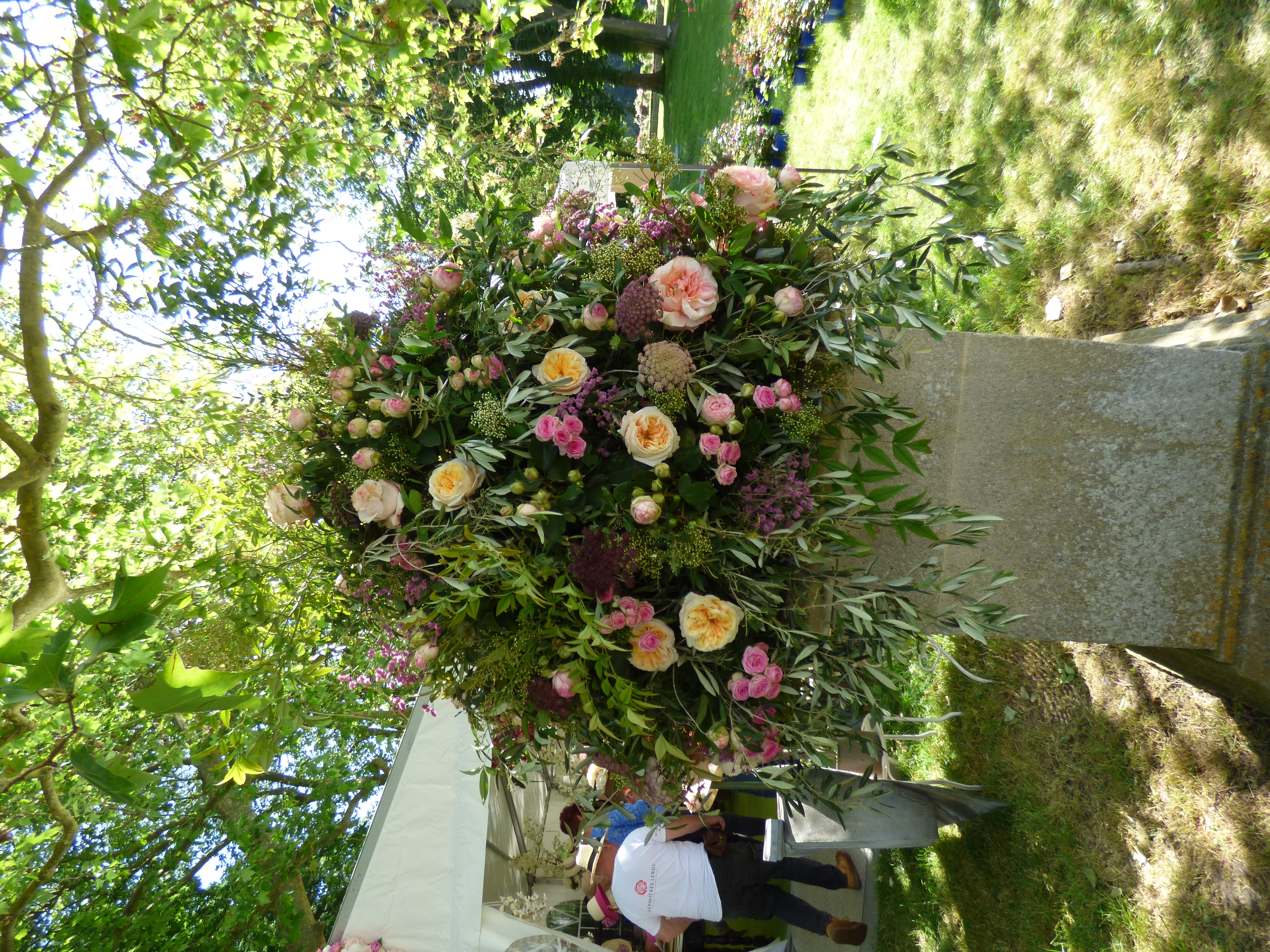 P1060100.JPG