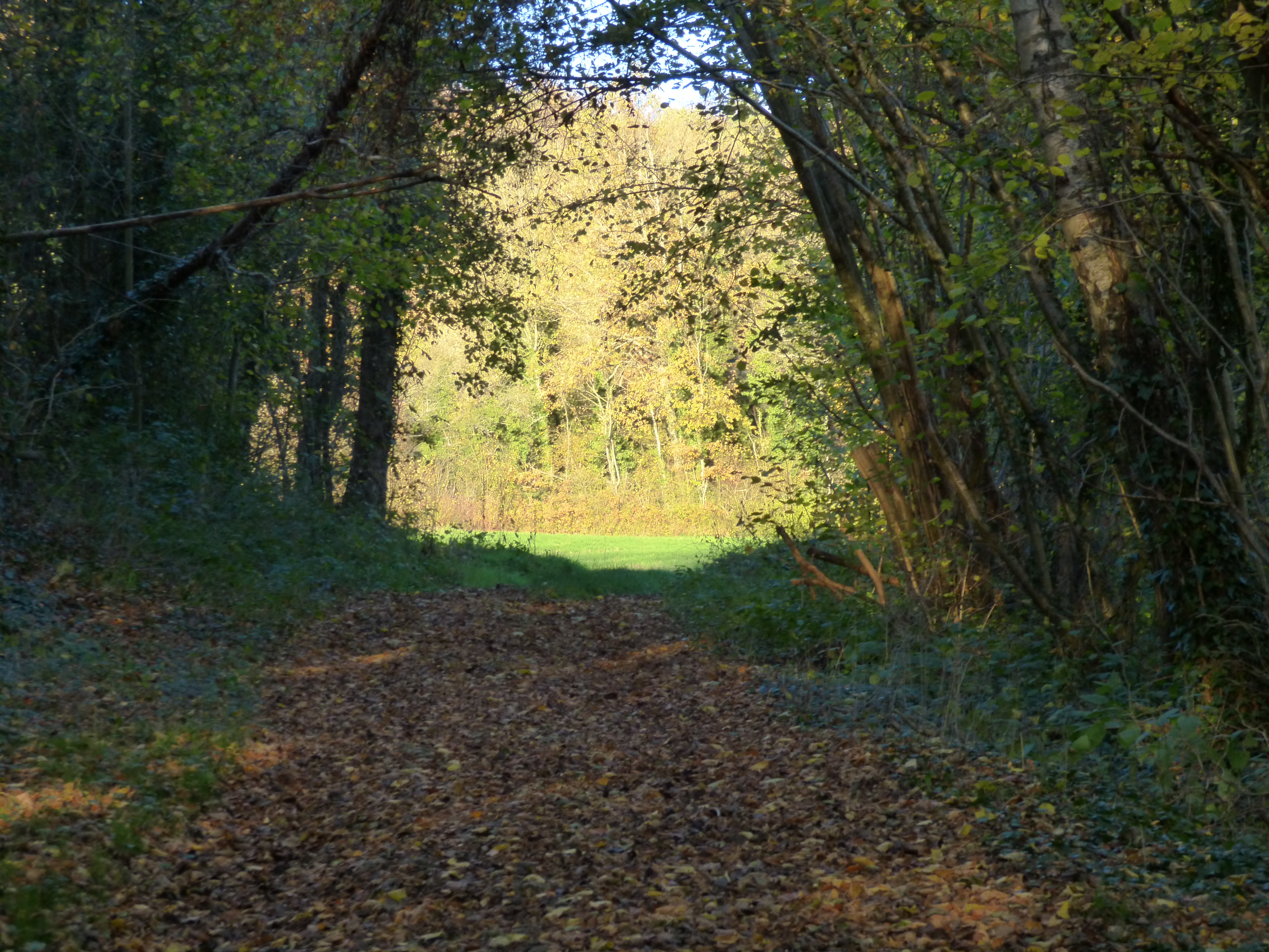 P1050794.JPG