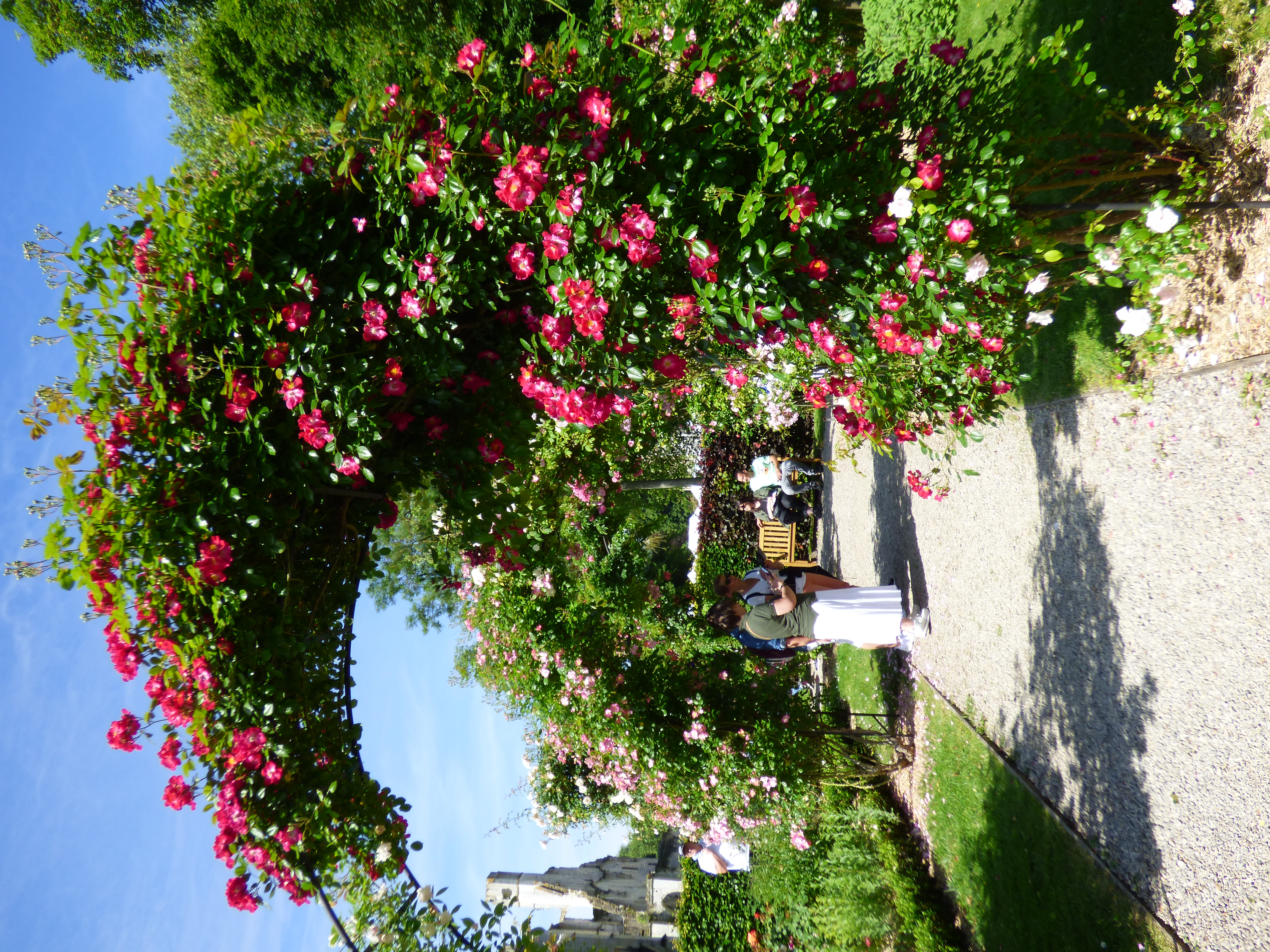P1060125.JPG