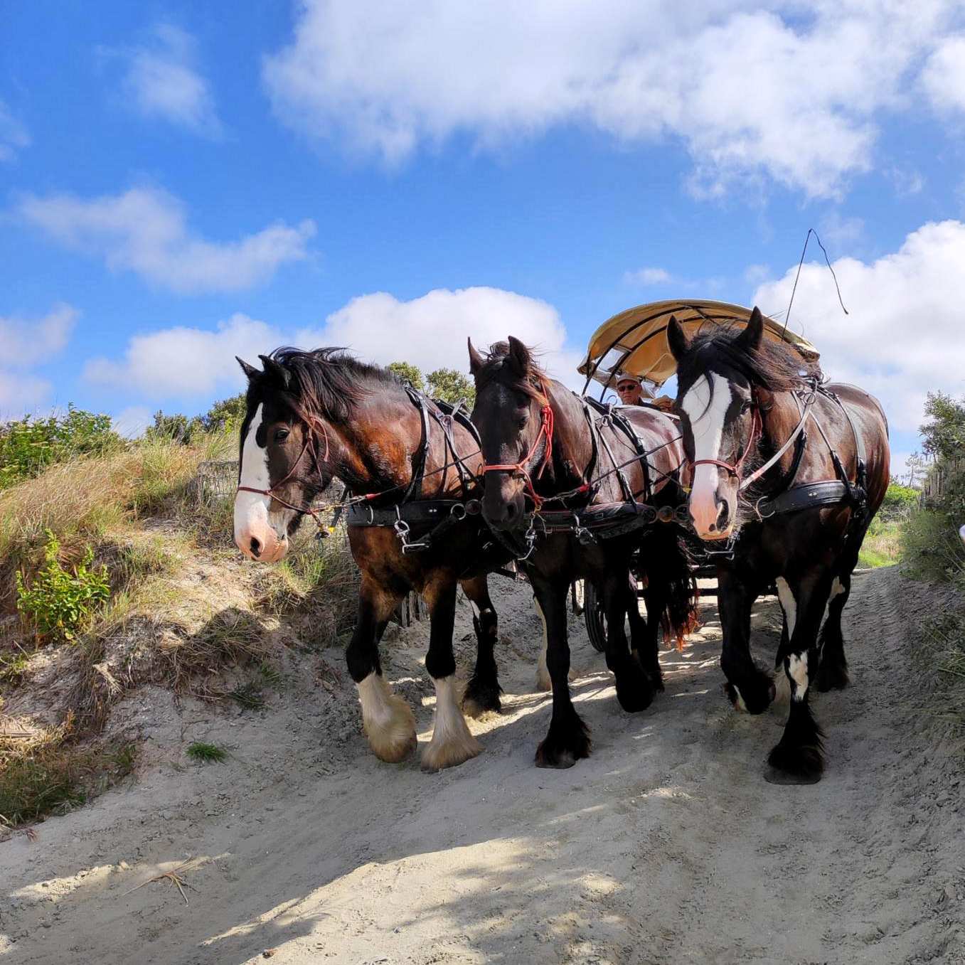 signal-2022-06-11-22-05-04-134-18 _1_.jpg