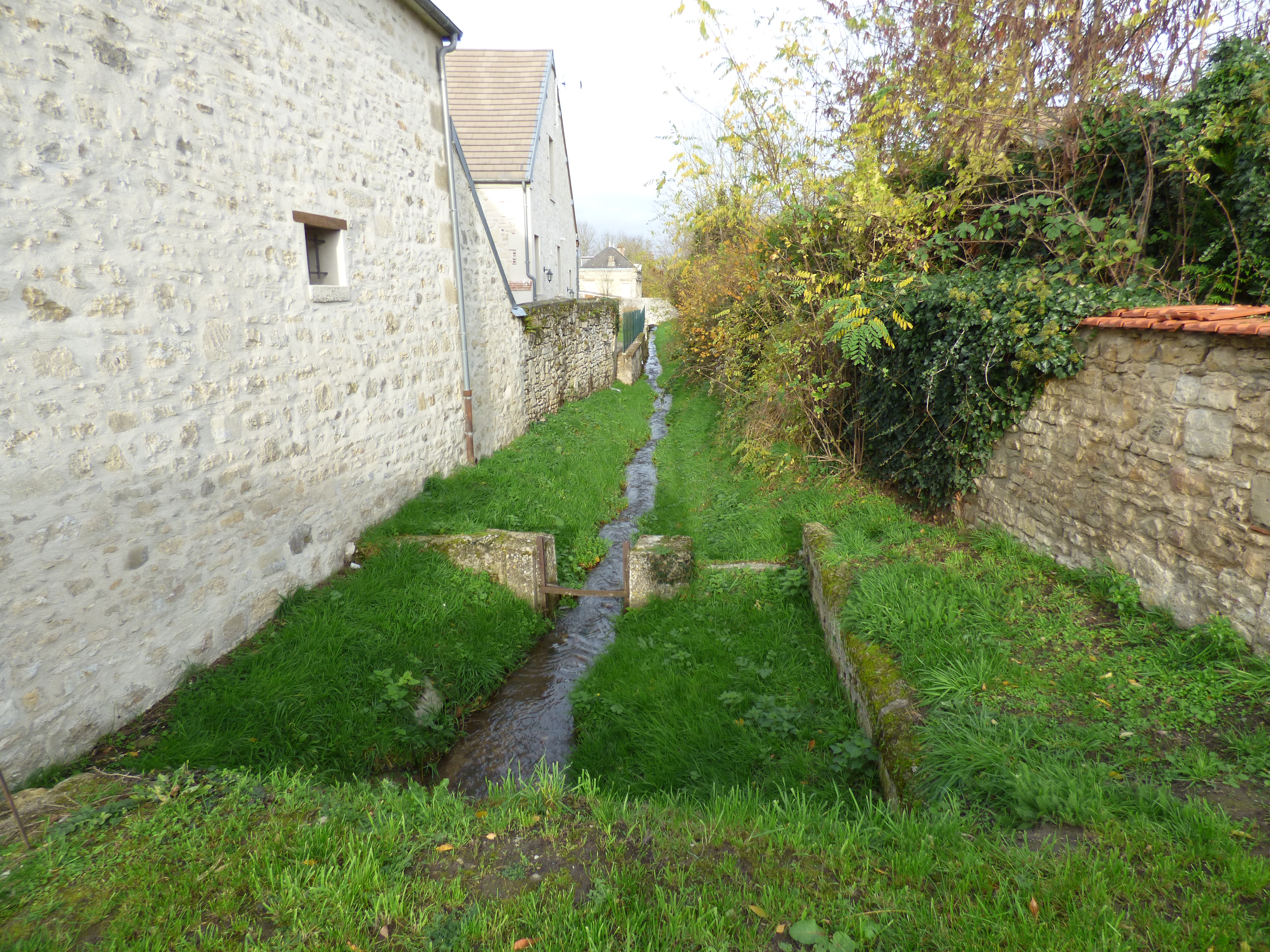 P1050771.JPG
