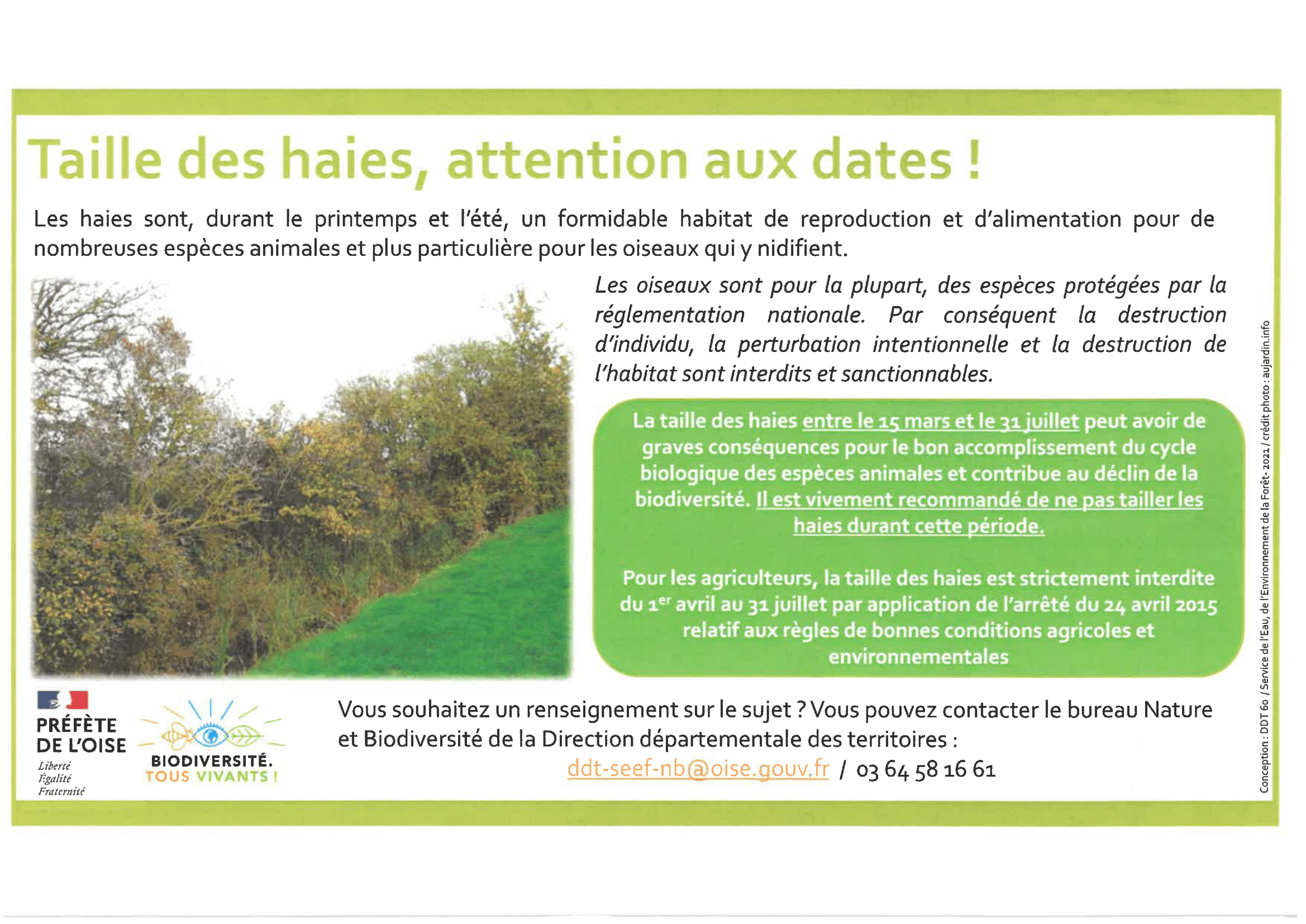 TAILLE DES HAIES-1.png