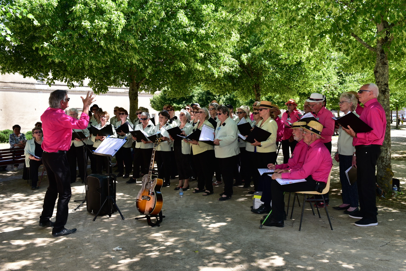 Chorale de St Savin La vie Chante Michel Hec.JPG