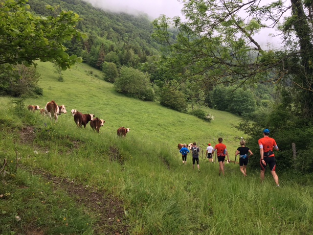 gens qui courent no 1