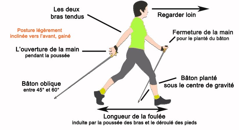 la-bonne-posture-en-marche-nordique.jpg