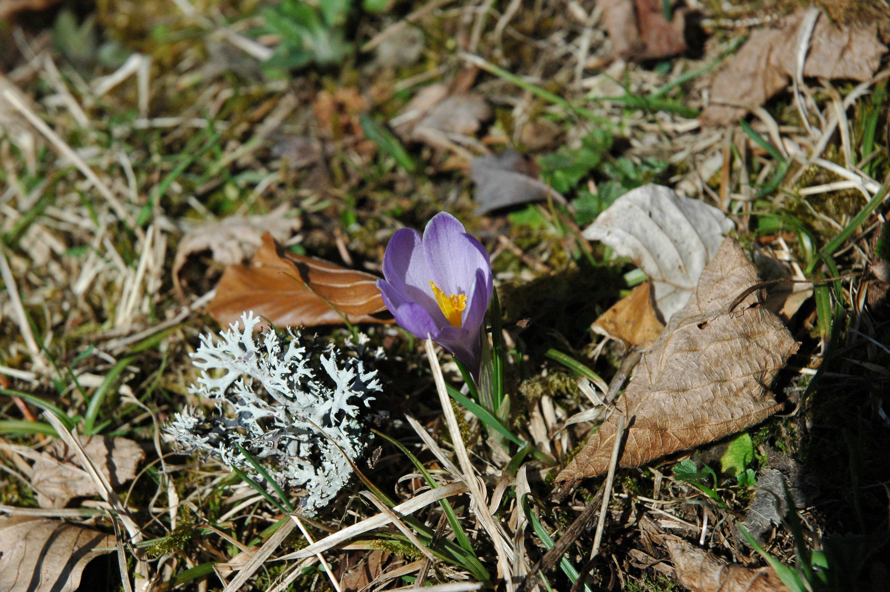 DSC_8191.JPG