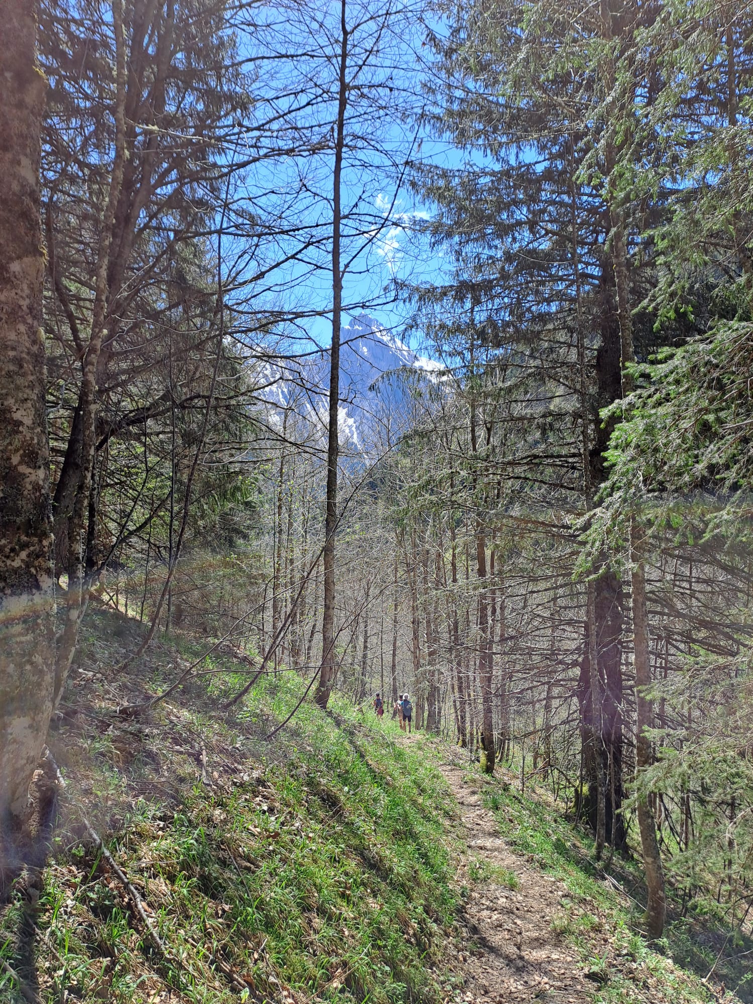 f0a6744a-62aa-4353-a14b-a60966da4521.jpg