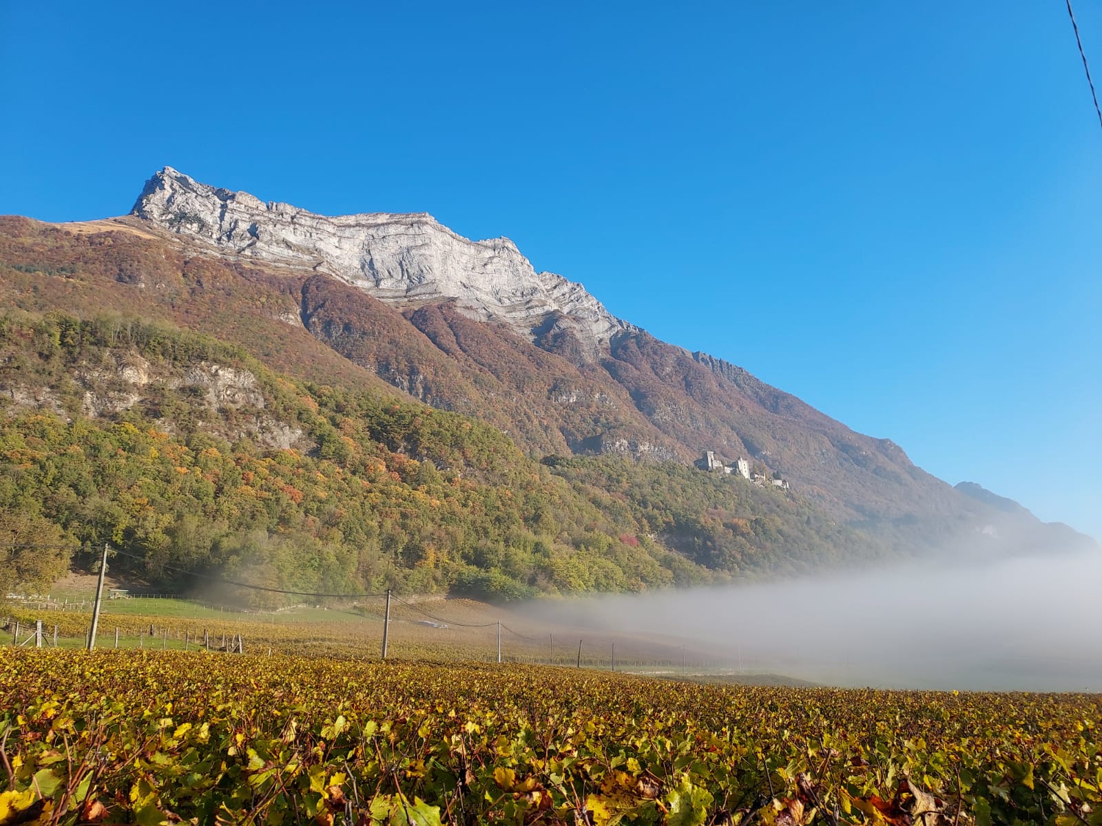 PHOTO-2021-10-24-11-25-05 _2_.jpg