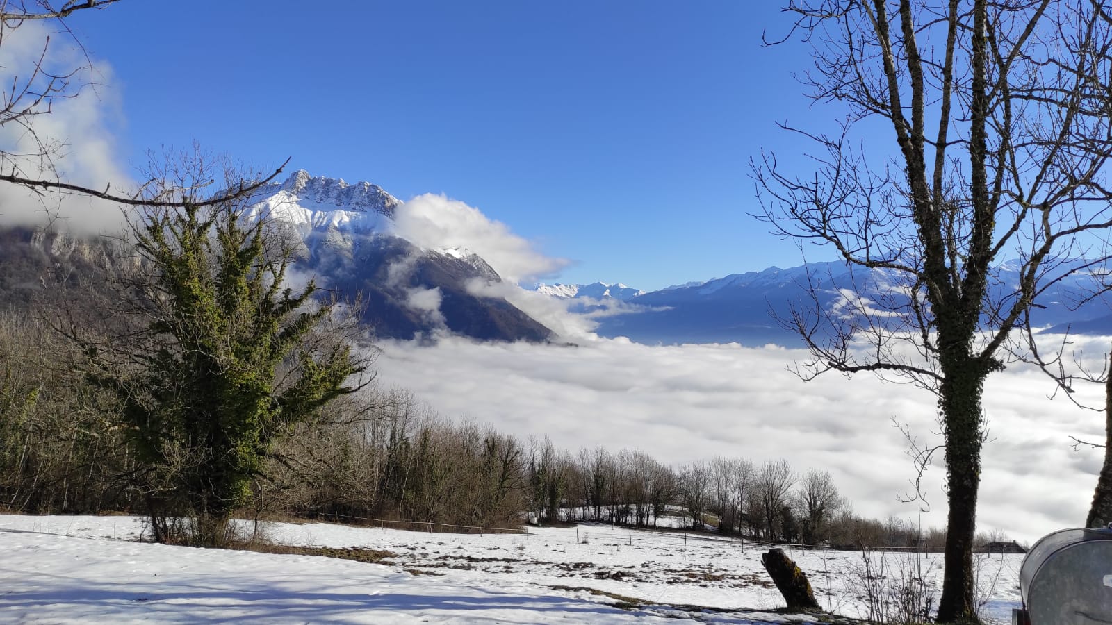 PHOTO-2021-01-31-11-43-37 _1_.jpg