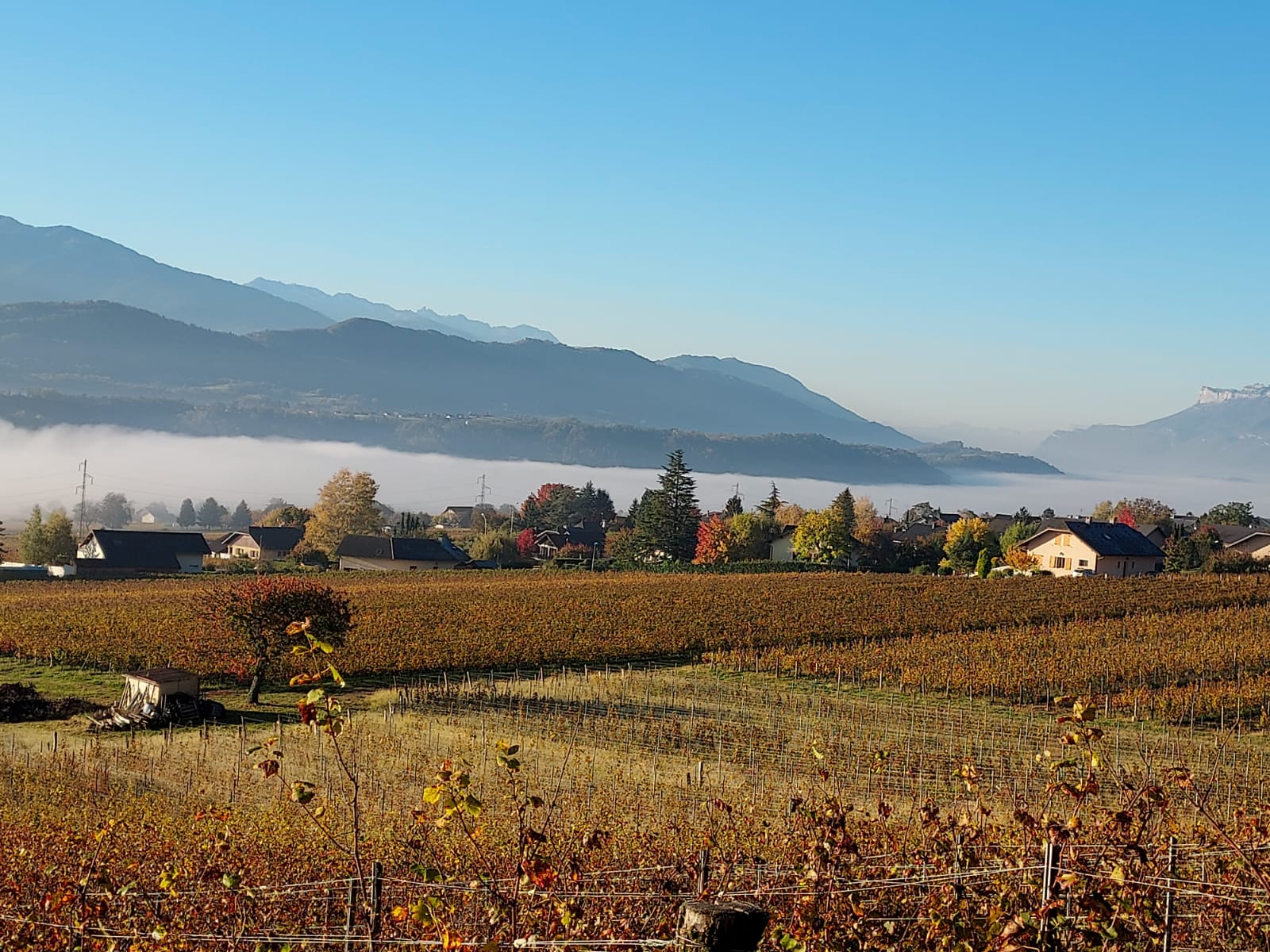 PHOTO-2021-10-24-11-25-08 _1_.jpg