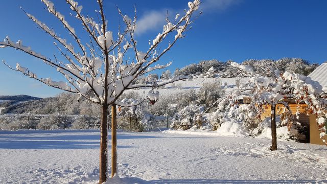 cour sous la neige 2 redimensionnée.jpg