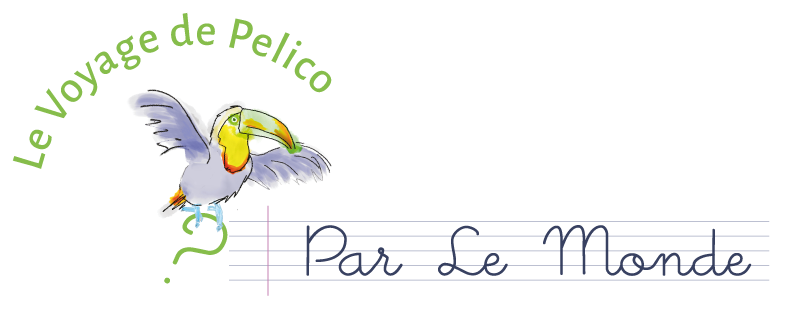 pelico asso.png