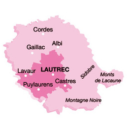 Ail rose de Lautrec - Carte.jpg