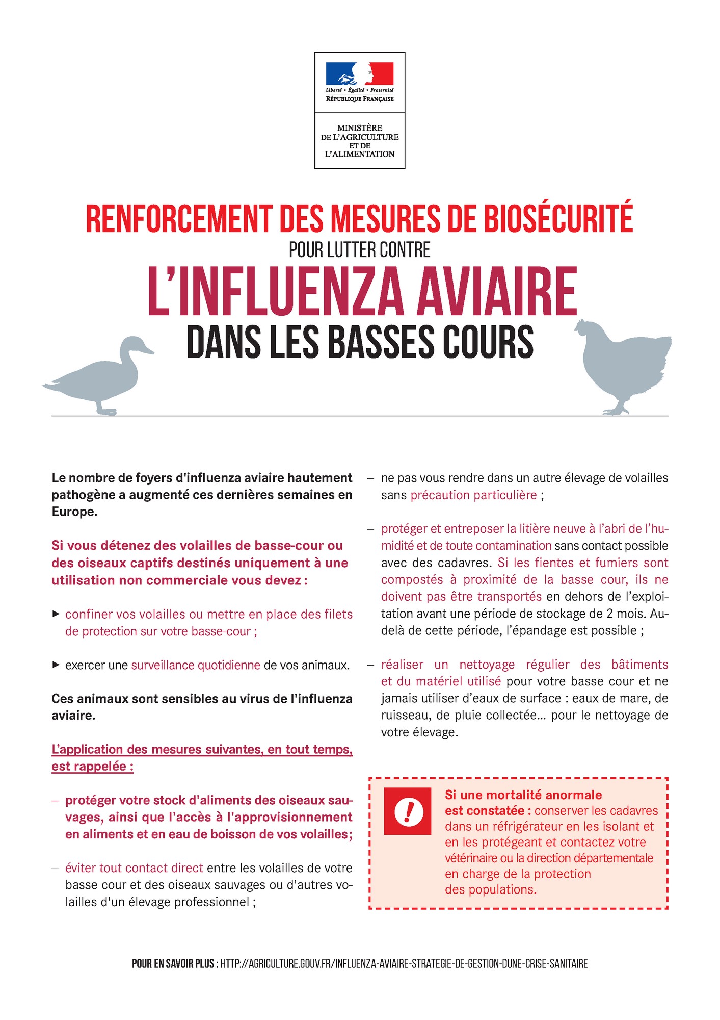 Influenza Aviaire - Renforcement de la biosécurité dans les basses cours 1.jpg