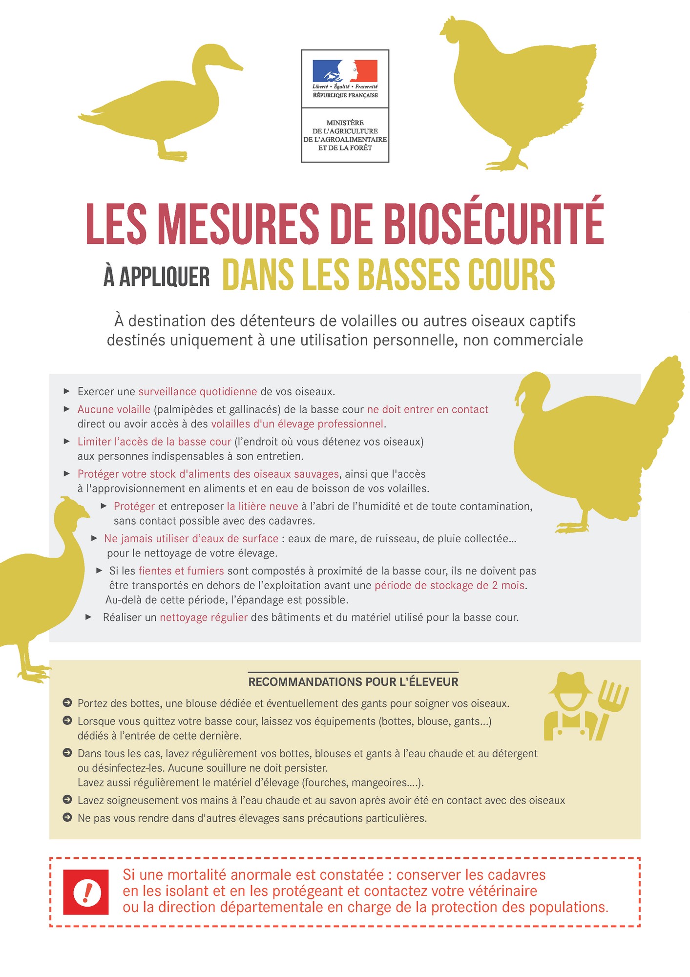 Influenza Aviaire - Biosécurité dans les basses cours.jpg