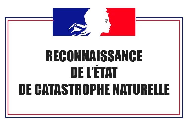 Reconnaissance de catastrophe naturelle.jpg
