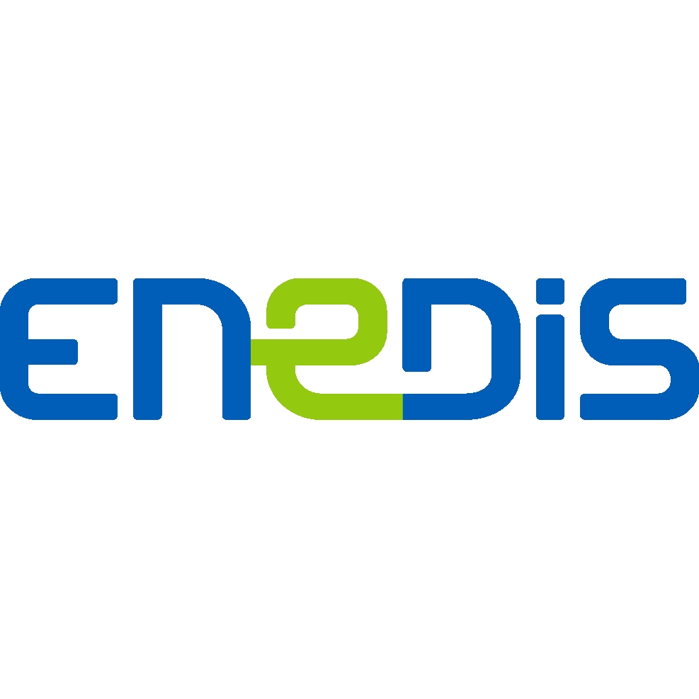 Logo Enedis 2.jpg