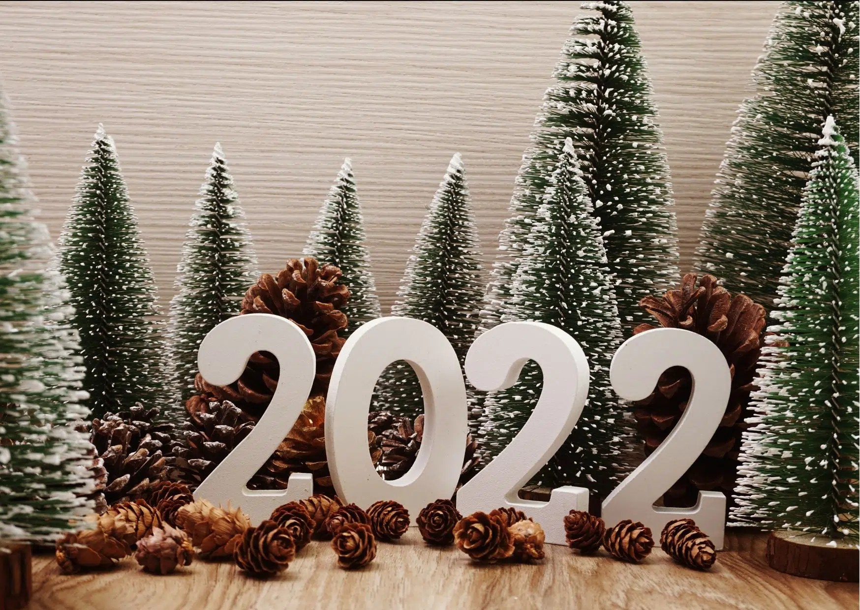Bonne année 2022.jpg