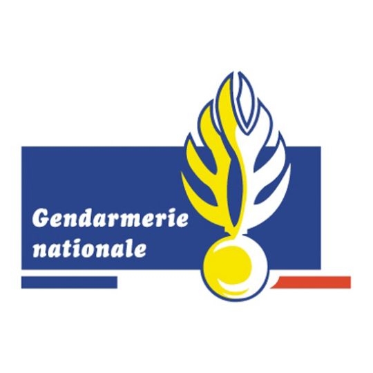 Logo Gendarmerie nationale.jpg
