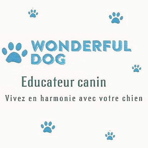 Wonderful dog 81.jpg