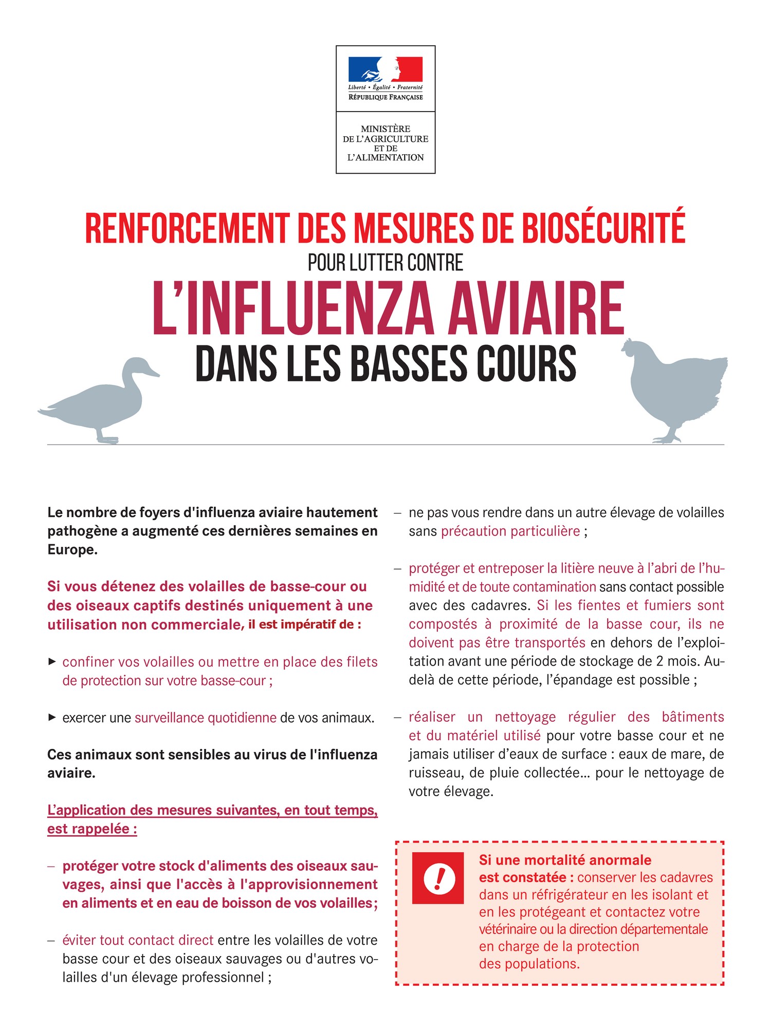 Influenza Aviaire - Renforcement de la biosécurité dans les basses cours 2.jpg