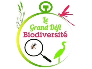 Logo Association "Protégeons l'environnement et les paysages ruraux Fréjevillois"