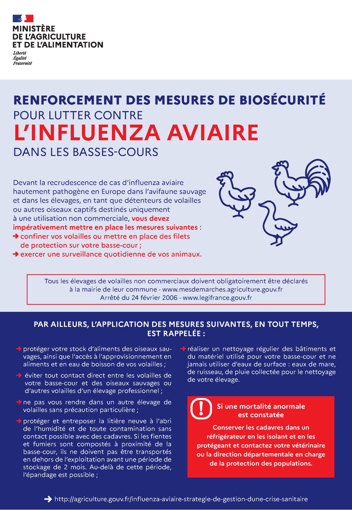Influenza aviaire 2022 - Détenteurs de basses-cours.jpg