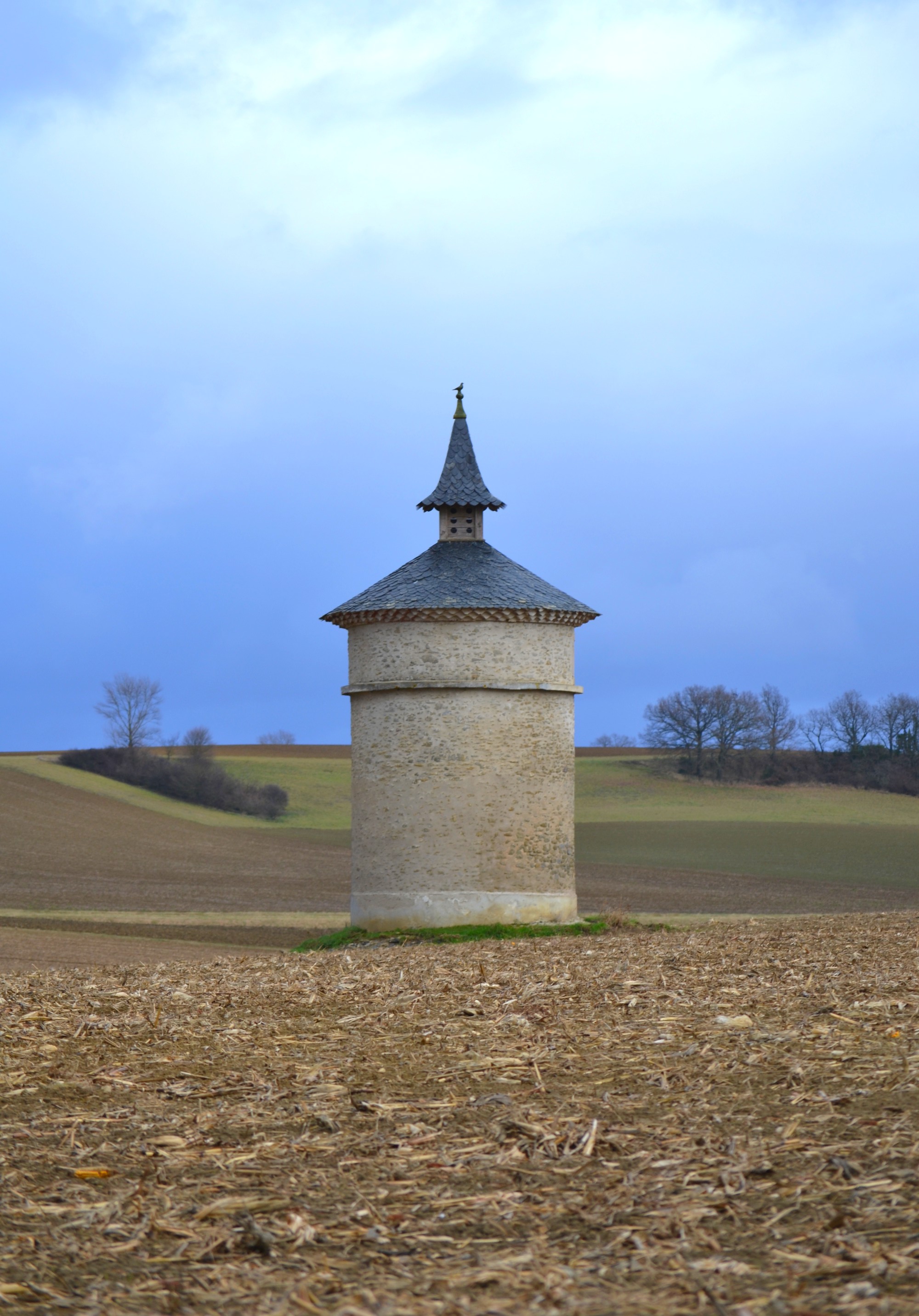 Pigeonnier - le Rouch _DSC_03261 _retouchée__.jpg