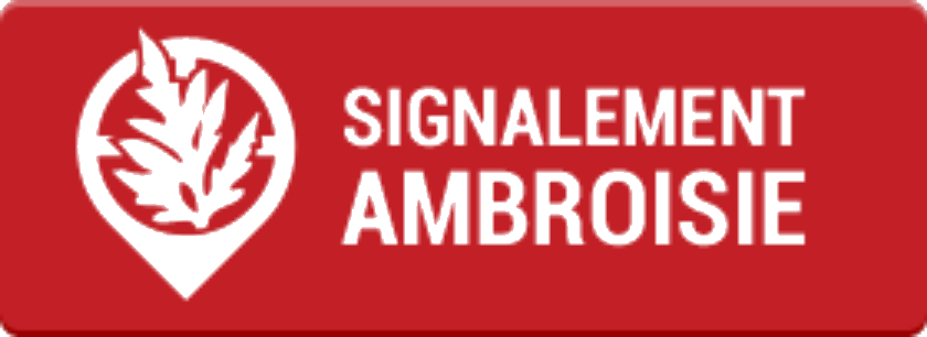 Ambroisie - Signalement.png